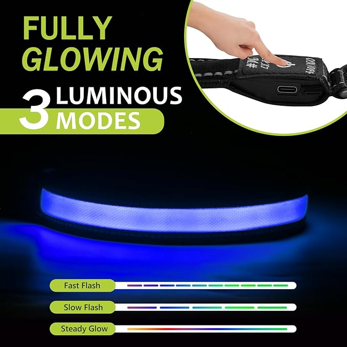 Led Glowing Dog Collars, Lighted Dog Collars for Night, Dog Glow Collar Rechargeable, Light Up Dog Collar for Small Dogs (Blue, Pack of 1, S)