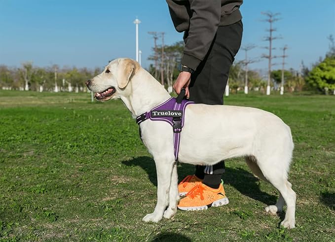 Truelove Dog Harness No-Pull Reflective Stitching Ensure Night Visibility Outdoor Adventure Big Dog Harness Perfect Match Puppy Vest TLH5753 Now Available in 6 Colors 6 Sizes