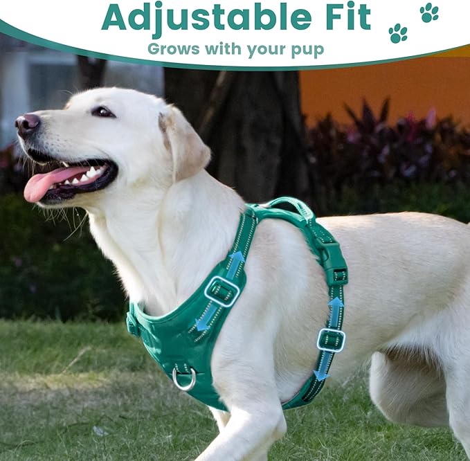 No Pull Dog Harness, Reflective Puppy Vest for Small Medium Large Sized Dog(MARRS Green,M)