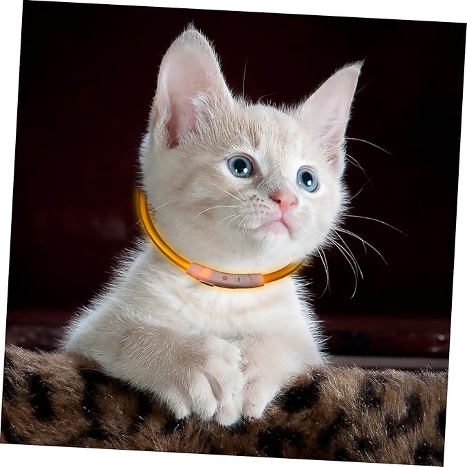 Led Glowing Dog Collar USB Rechargeable Pet Collar for Night Safety Stylish Yellow for Evening Walks and Camping