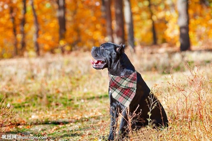 Elegant little tail Christmas Dog Bandana 1PCS Plaid Pet Bandana Washable Reversible Cotton Boy Bibs Scarf, Adjustable Square Dog Kerchief for Small to Large Dogs and Cats
