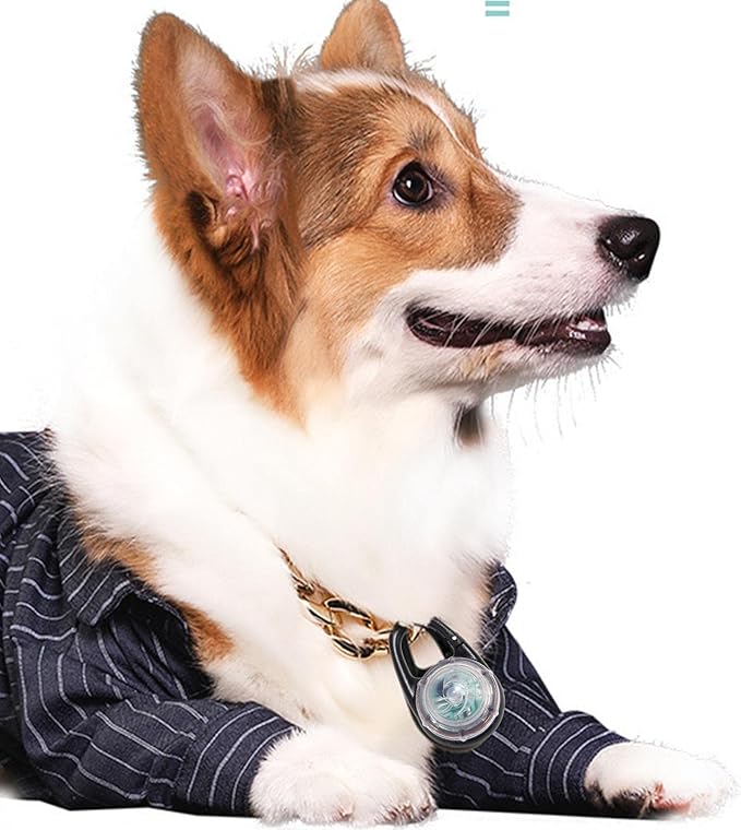 Dog Collar Light, LED Dog Collar USB Rechargeable Light Collar for Small Medium Dogs, Dog Lights for Night Walk, Adjustable 2 Light Modes for Night Walk, Glow in The Dark