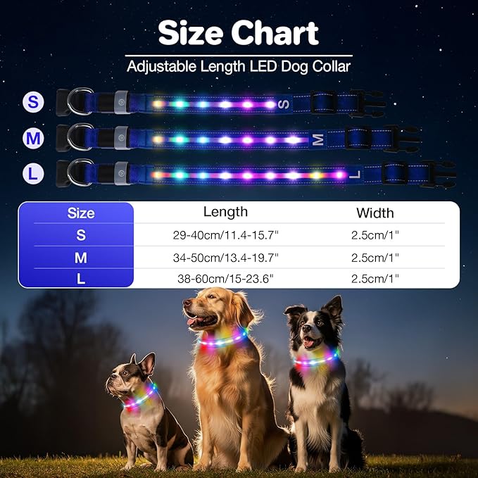 Light Up Dog Collar, USB Rechargeable 6 Modes, Waterproof Charging Port, Long Lasting LED Collar - Adjustable Nylon Reflective for Dogs, Sizes S/M/L (7/9/11 Lights) - 5 Colors (Blue, L)