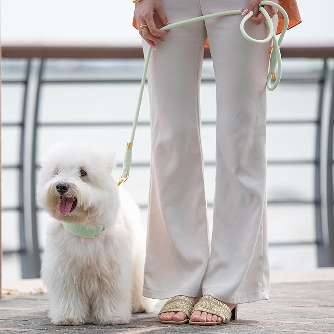 Durable Handwoven Dog Leash for Small & Medium Dogs, 5/16 inch Rope Lead with Anti-Tangle Swivel Clip, Soft & Lightweight, 5FT Long – Ideal for Daily Walking & Training (Light Green)