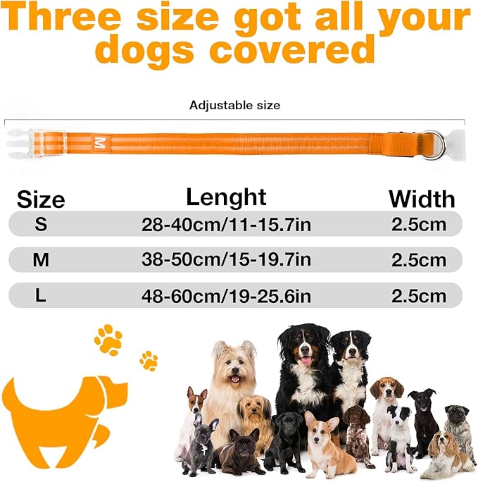 LED Dog Collar, Light Up Dog Collar, Lighted Dog Collars Adjustable for Night Walking, Glow in The Dark Dog Collars Light with USB Rechargeable Color Changing Waterproof for Dogs (Orange, Small)