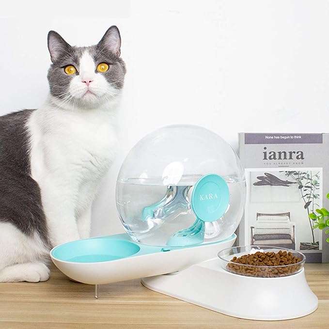 2 In1 Automatic Cats Dogs Water Dispenser Pet Food Bowls Set,No-Spill Dog Water Bottle & Dish Detachable Transparent Pet Feeder for Small Medium Size Dog Cat 2.8L