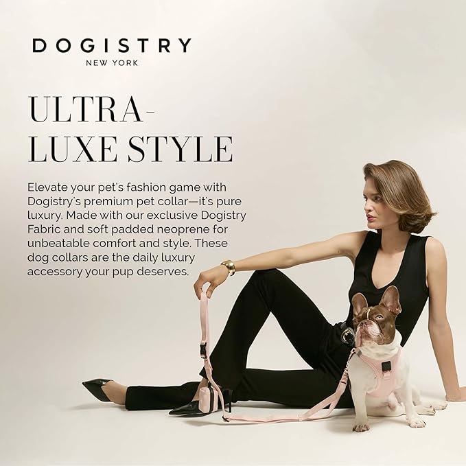 The DOGISTRY - City Collar - Blush - Premium Dog Collar with Padded Neoprene & Signature Fabric - Refined Design & Everyday Luxury - Medium