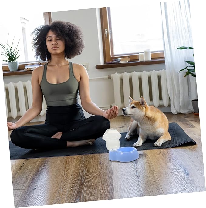Dog Water Dispenser Automatic Pet Feeding Large Bowl Slow Feeder Pet Drinking Fountain