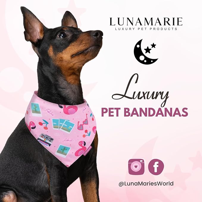LunaMarie - Luxury Pet Birthday Bandanas -Premium & Silky Poly Fabric | 100% Handmade | Custom Shape Dual Layered (Summer Vibes, Large)