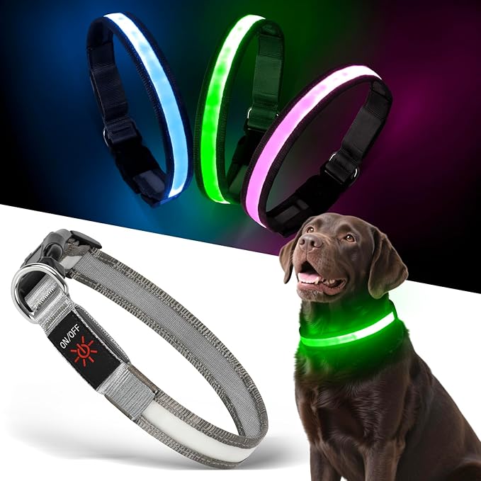 Light up Dog Collar - Multi-Color LED Dog Collar, USB-C Rechargable with Battery Indicator, Waterproof and Adjustable Rainbow Collar for Dogs(Medium)