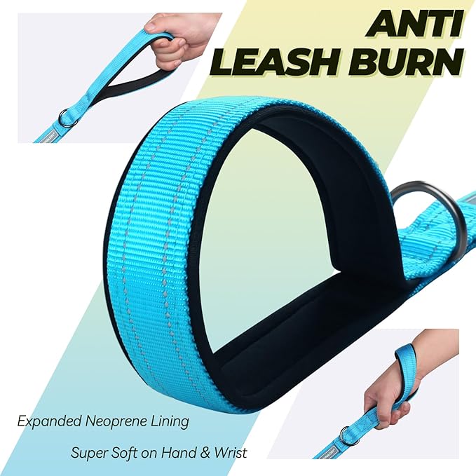 VIVAGLORY Twingrip Dog Leash, Double Handle Dog Leash for Training & Walking with Traffic Handle & 2 Loop, Traffic Control Reflective Heavy Duty for Puppy Pet, 6ft x 1in, Lake Blue