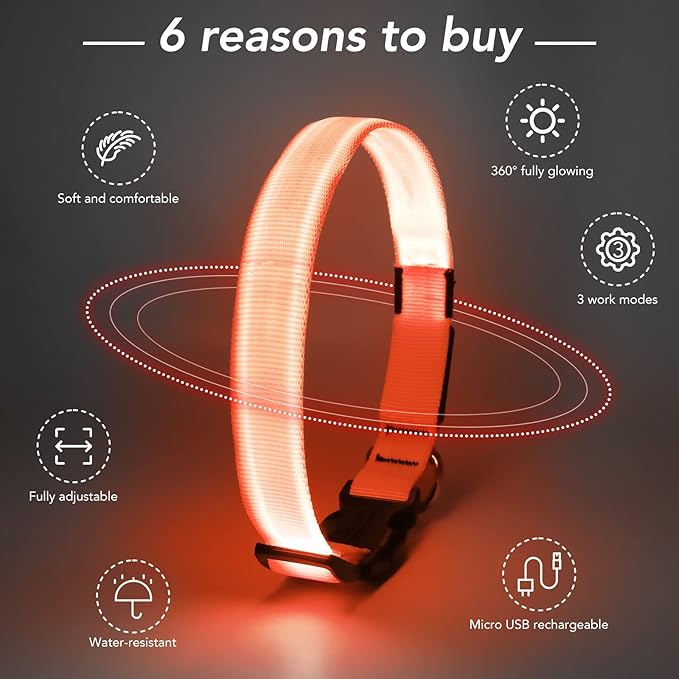 LED Dog Collar - Adjustable, Waterproof, Glow in Dark for Night Walking, Medium Large Dogs