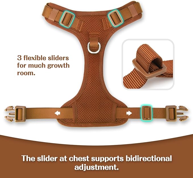 No Pull Dog Harness for Small Medium Large Dogs - Adjustable 2 Layer Mesh Dog Vest with Dual Clip, Escape Proof, Quick Release, Lightweight Breathable Mesh for Walking Hiking (Carmel Brown,S)