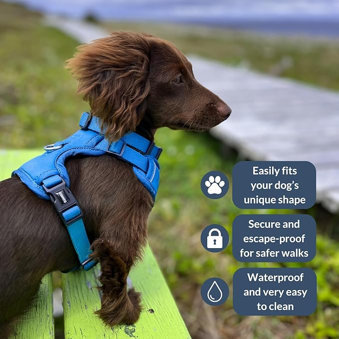 DJANGO Tahoe No Pull Dog Harness – Escape-Proof Dog Harness for Large Dogs with Front & Back Clips for Everyday Use – Adjustable, Padded, Reflective, Secure Fit, Easy On/Off – Alpine Blue, XL