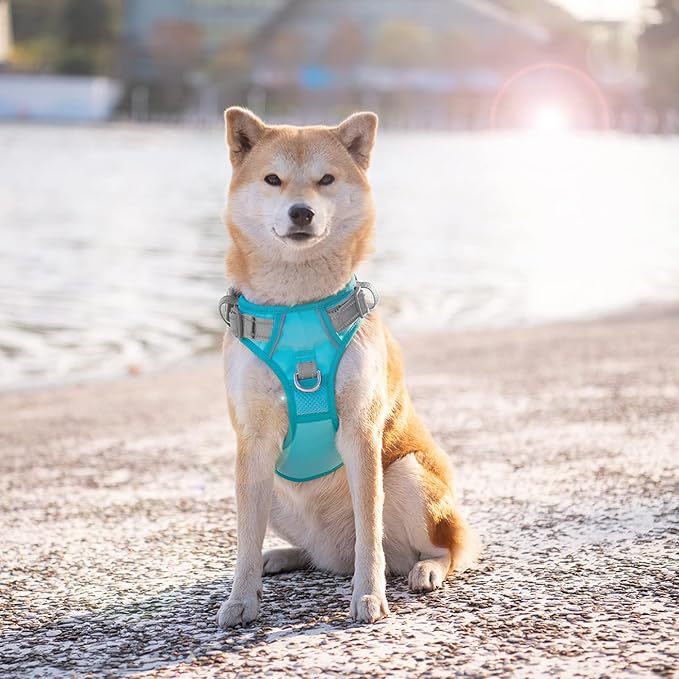 PHOEPET No Pull Dog Harness, Unique Colors Reflective Adjustable Dog Vest, with Soft Training Handle Metal Clips for Small Medium Large Dogs (Mint Green Base & Grey Straps,M)