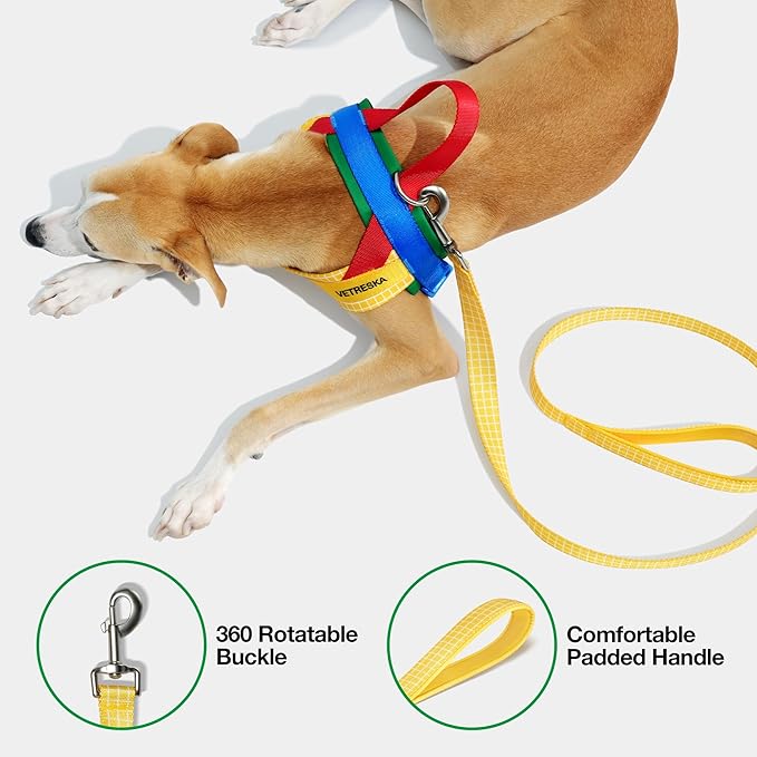 VETRESKA MoMA Dog Harness and Leash Set, Easy Walk Dog Harness for Small Medium Dogs, No Pull Puppy Harness for Walking and Training, Adjustable, Take Control & Anti-Twist Pet Lead Combo(Yellow, S)