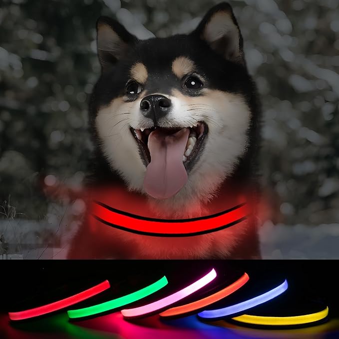 Dog Led Collar Waterproof, Glowing Collars for Small Dogs, Lighted Dog Collars for Night Flashing, Rechargeable Light Up Dog Collars (Red, Pack of 1, S)