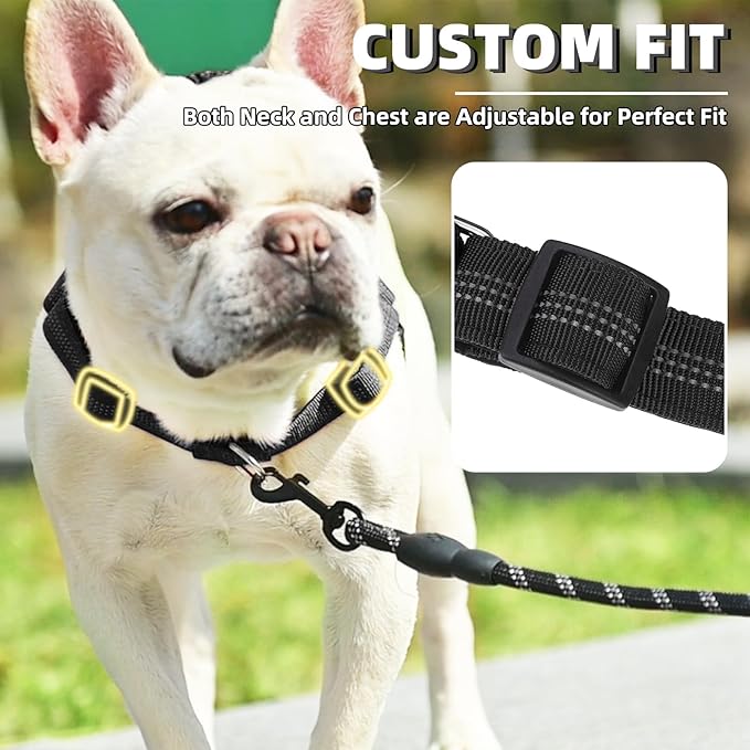 PUPTECK No Pull Dog Harness Small Sized Dog, Adjustable Reflective Pet Vest Harness with Bungee Handle, Escape Proof No Choke Harness for Small Dogs Walking Training, Black S