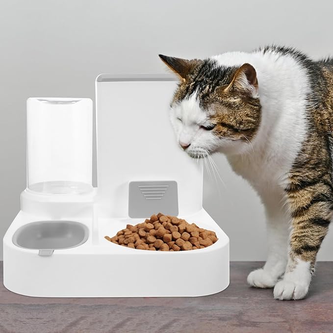 Automatic Feeder for Dogs Cats Pet Food Water Dispenser Large Capacity Sturdy Easy to Maintain