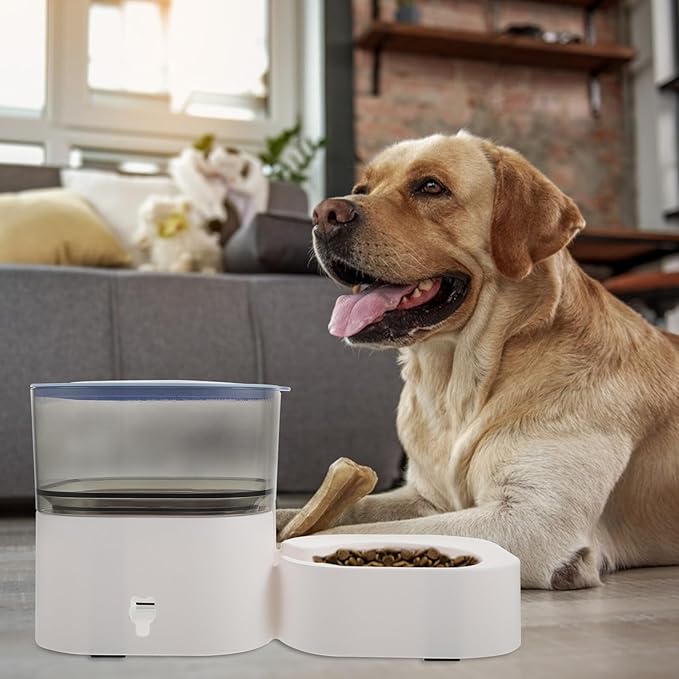 FRCOLOR Automatic Pet Food Dispenser with Detachable Anti-Slip Feeding Bowl, Dry Food Storage Container for Dogs and Cats, Blue Household Auto Feeder Suitable for Home Use