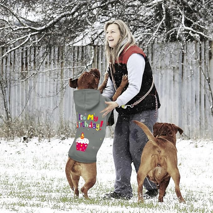 GreenJoy Dog Sweater Dog Hoodie Cold Weather Coat Hooded Sweatshirt for Puppies,Cats, Small Medium Large Dogs (Grey(It's My Birthday), XX-Large)