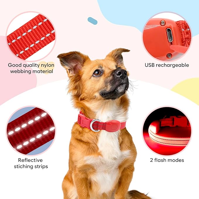 Light Up Dog Collar - Reflective LED Puppy Collar Rechargeable Glow in The Dark Cat Collar High Visibility Safety Dog Lights for Night Walking (XS, Red)