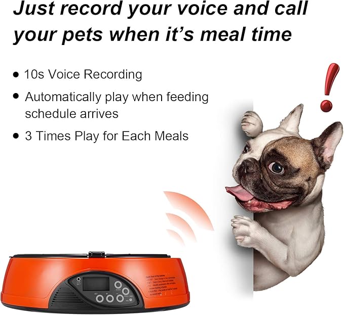Qpets AF-108 Plus Automatic Cat Feeder, 6-Meals Food Dispenser for Cats and Small Dogs, Programmable Timer, Automatic Pet Feeders, Portion Control, Holds Dry Food, Voice Recorder Up to 6 Meals per Day