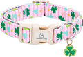 Lionheart glory St. Patrick's Dog Collar-Lucky Clover Shamrock Pink Spring Trefoil Dog Collar for Medium Dogs Adjustable Heavy-Duty Pet Female Dogs Collars