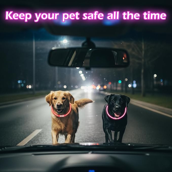 Rechargeable Reflective Pet Gear LED Dog Collar Light Up, Flashing Glowing Illuminated Collar for Night Walking, Neon Pet Collar with Light for Small/Medium/Large Dogs (Pink, 1-Pack)