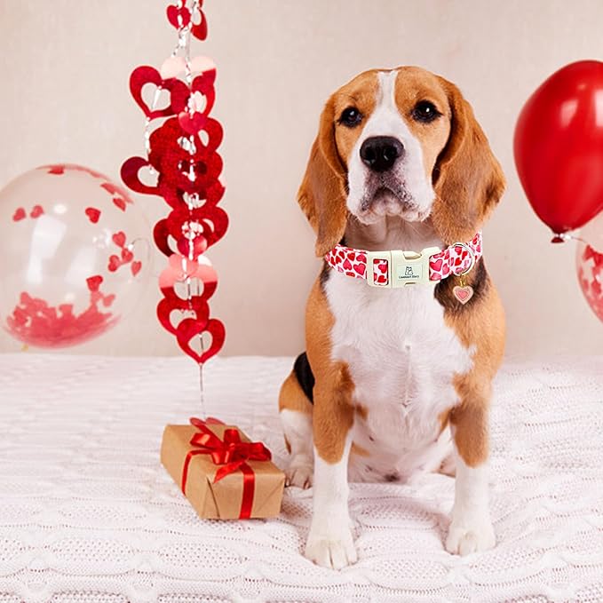 Lionheart glory Valentine Collar, Red Hearts Dog Collar for Large Cute Dog Collars Spring Female Pet Gift Adjustable Heavy-Duty Holiday Dog Collar Plastic Buckle