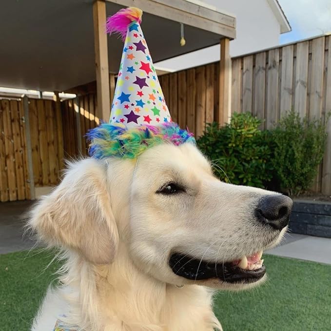 Huxley & Kent Pet Party Hat for Dogs & Cats - Fun Birthday Hat with SnugFit Adjustable Straps - Comfy Pet Costume Accessory for Parties, Gotcha Days & Celebrations - Superstar, Small