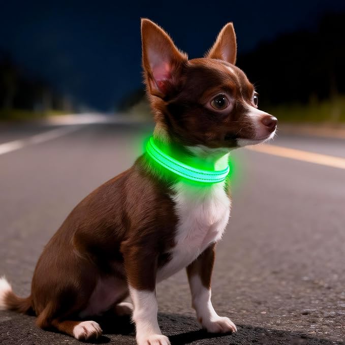 Light Up Dog Collar for Small Dogs - LED Dog Collar Rechargeable Adjustable Puppy Collars, Glow in The Dark Dog Lights for Night Walking（X-Small, Green）