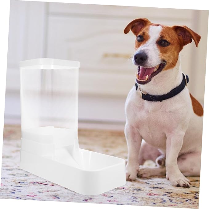 Dog Cat Automatic Feeder Food Dispenser Tool Pet Shop Feeder Auto Pet Container
