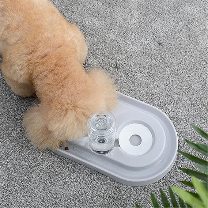 Automatic Pet Drinking Water Bottle Dog Cats Feeder Bowl Dog Food Feeder Double Dog Bowl Will Not MouthHair Get Wet (Color : Blue) (Pink)