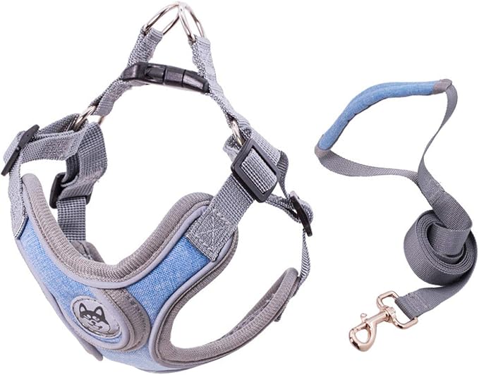 No pull dog camisole reflective small dog leash and collar for Schnauzer pet cat walking training supplies Chihuahua S blue