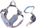 No pull dog camisole reflective puppy leash and collar Schnauzer pet cat walking training supplies Chihuahua XS blue