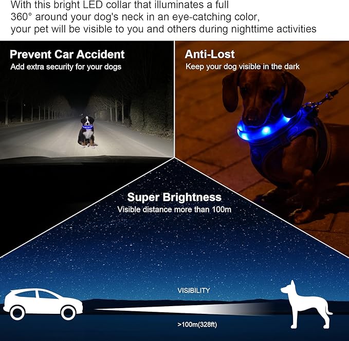 CHUKCHI LED Dog Collar Rechargeable,Waterproof Flashing Collar,Light Up Glow Collar, Adjustable Soft Safety Light Up for Small Medium Large Dogs Walking Camping at Night (Blue-S)
