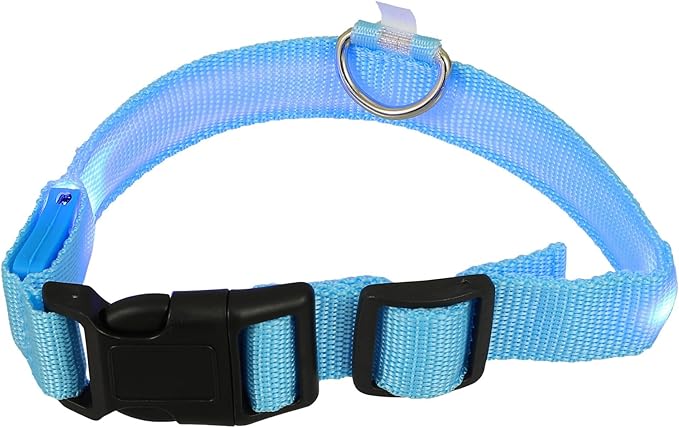 Adjustable Rechargeable Light up Dog Collar M Size Blue Glow LED Night Safety Luminous Pet Collar for Puppy and Dog Walking