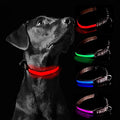 Glow Fetch It! HD Ultra Bright LED Safety Dog Collar, Adjustable, USB Rechargeable with 3 Modes, Water Resistant, Extremely Durable and Easy to Clean (Red, Medium)