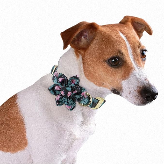 Flower Custom Dog Collar Printed Pet Nylon Dogs Collar Personalized Chihuahua Puppy Collars for Small Medium Large Dog Green S