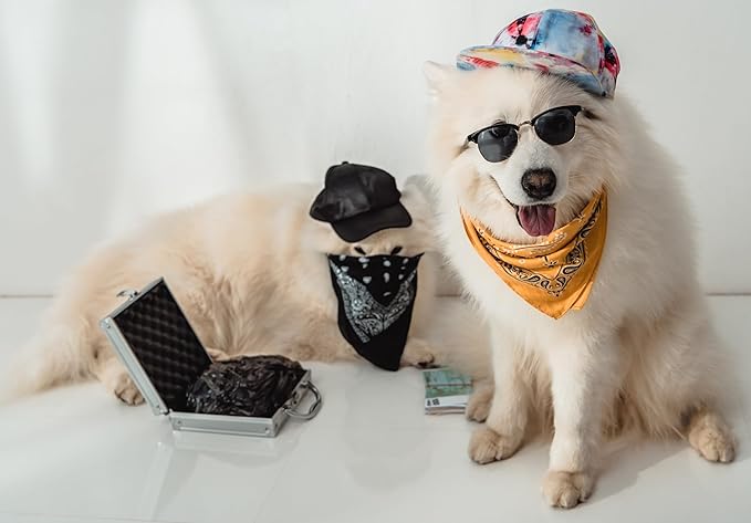 Mechaly Dog Plain Bandanas - 2 Pack - Scarf Triangle Bibs for Small, Medium and