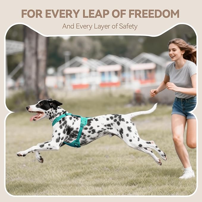 No Pull Dog Harness with Lycra, Three-Point Force Dispersion & 3D Padding, Adjustable Breathable Mesh for Small Medium Large Dogs(MARRS Green,L)