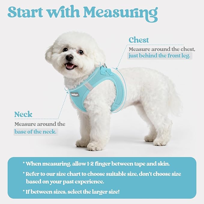 rabbitgoo Dog Harness Small Sized and Leash Set, Step in Soft Light Puppy Vest, Breathable Mesh Pet Harness, Reflective for Safe Easy Walking, Mint Blue XXS