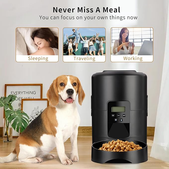 2L Smart Pet Feeder Timing Smart Automatic Pet Feeder for Cats Dog Button Intelligent Dry Food Dispenser Dog Bowl
