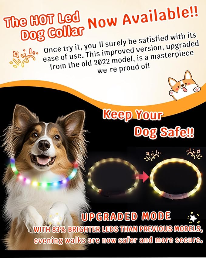 Led Dog Collar【LED Brightness Increased by 83%】 OGURIYA USB-C Rechargeable Dog Necklace Light, Pet Safety Collar Makes Your Beloved Dogs Be Seen at Night for Small Medium Dogs 19.7in Length(50CM)