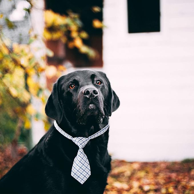 Segarty Small Neckties for Dogs, Dog Neck Bow Ties with Adjustable Collar, Pet Bowties for Small Dogs Cats Puppies Bowties Bulk Grooming Bows for Christmas Thanksgiving Wedding Festival Graduation