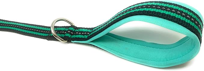 Black Rhino Heavy Duty Dog Leash for Medium and Large Dogs - 5 ft Long Double Handle Dog Leash with Padded Traffic Control Handles - Reflective, Durable, and Weather Resistant (Aqua and Gray)