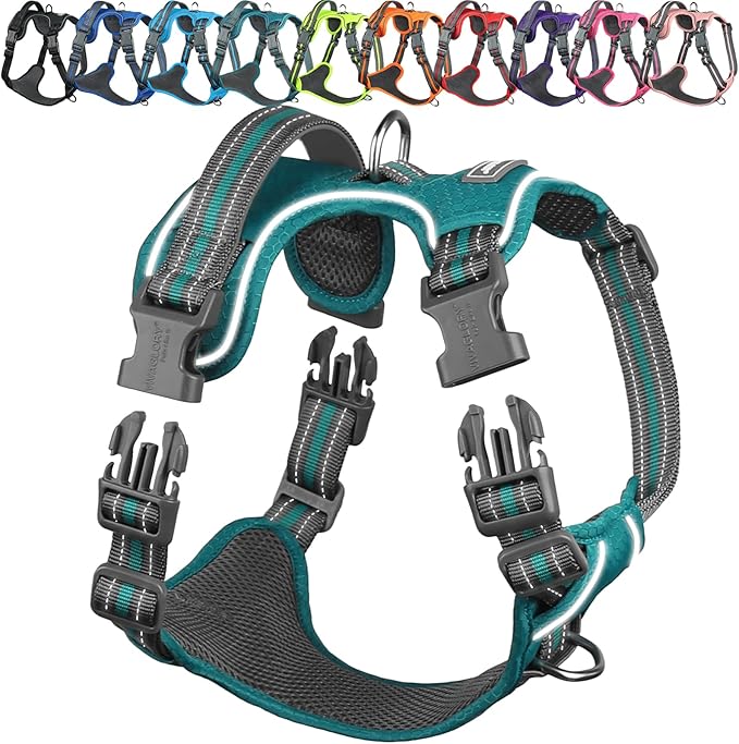 VIVAGLORY Dog Harness Easewalk No Pull Dog Harness with Handle Front Clip & Back Clip for Training Walking Lifting, No Pull Adjustable Easy On Padded Comfortable for Pet, M, Hunter Teal - Patterned