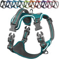 VIVAGLORY Dog Harness Easewalk No Pull Dog Harness with Handle Front Clip & Back Clip for Training Walking Lifting, No Pull Adjustable Easy On Padded Comfortable for Pet, XL, Hunter Teal - Patterned
