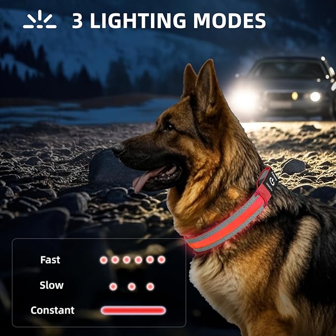 PetIsay LED Dog Collar Metal Buckle - Heavy Duty Light up Collars - Rechargeable IP68 Waterproof - Lighted Dog Collar for Night Walking, Hiking, Camping (Small, Red)